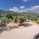 Τηλεμαχος Apartments